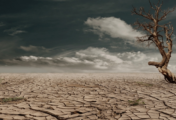UNIDAD DID&Aacute;CTICA SOBRE CAMBIO CLIM&Aacute;TICO