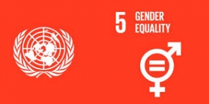 Tackling gender inequalities in a male-dominated classroom