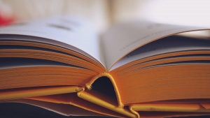 Global Citizenship Education: from School&rsquo;s problems to youth training